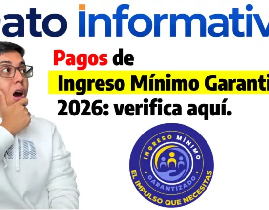Ingreso Mínimo Garantizado