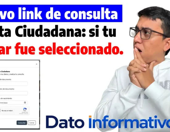 link de consulta