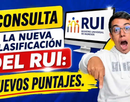 nueva clasificación