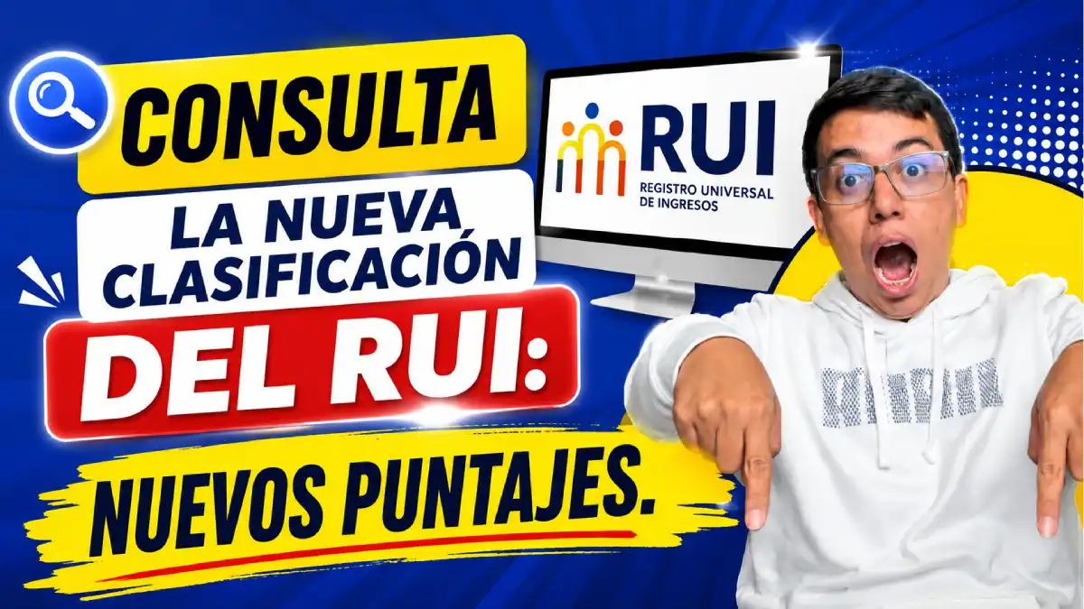 nueva clasificación