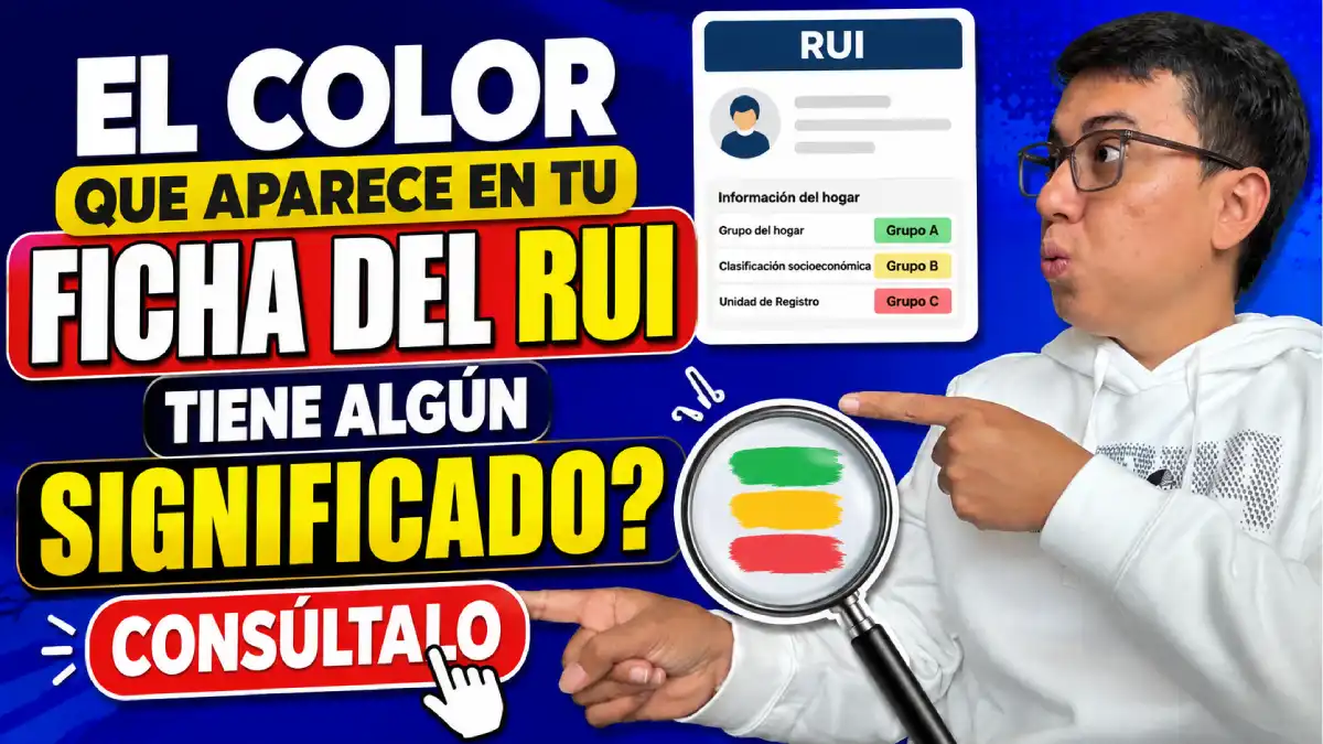 ficha del RUI